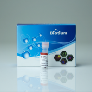 Biotium 41005 GelGreen Nucleic Acid Gel Stain 500 ul