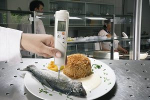 Testo 106 Kit Food thermometer wahana hilab indonesia 3